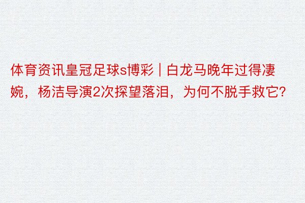 体育资讯皇冠足球s博彩 | 白龙马晚年过得凄婉，杨洁导演2次探望落泪，为何不脱手救它？